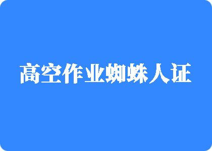 网站啊啊啊啊操我高空作业蜘蛛人证